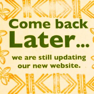 COME BACK LATER for our SUNGLASSES - Image 1